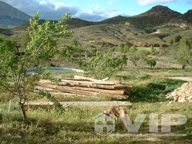 VENTA CORTIJO ALMERIA venta cortijo almeria: