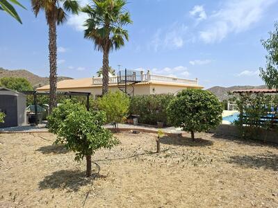VIP 8221: Villa zu Verkaufen in Arboleas, Almería VIP 8221: Villa zu Verkaufen in Arboleas, Almería