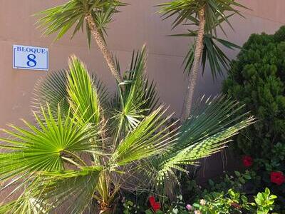 VIP 8222: Apartamento en Venta en Mojacar Playa, Almería VIP 8222: Apartamento en Venta en Mojacar Playa, Almería