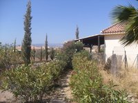 VIP1898: Villa te koop in Albox, Almería