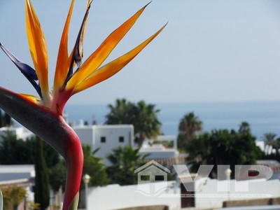 4 Bedrooms Bedroom Villa in Mojacar Playa