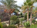 VIP7282: Apartment for Sale in Mojacar Playa, Almería