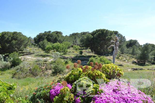 VIP7417: Boerderij te koop in El Pocico (Lubrin), Almería