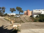 VIP7543: Grundstück zu Verkaufen in Villaricos, Almería