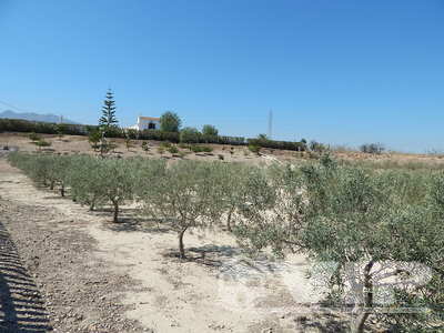 VIP7625: Villa for Sale in Turre, Almería
