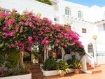 VIP7752: Wohnung zu Verkaufen in Mojacar Playa, Almería