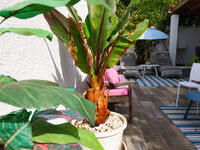 VIP8223: Villa for Sale in Mojacar Playa, Almería