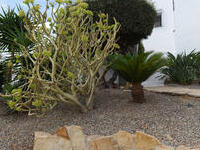 VIP8223: Villa for Sale in Mojacar Playa, Almería